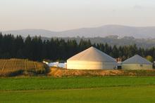 Vom LAPF zum Biogas